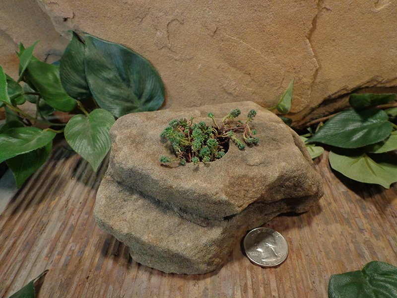 Small Natural Stone Planter Pot-2.jpg :: Small Natural Stone Planter Pot