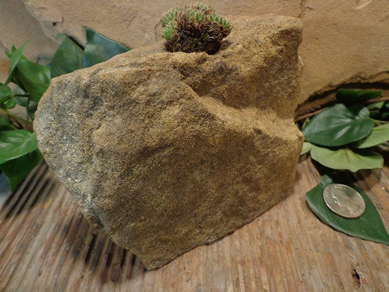 Small Natural Stone Planter Pot-6.jpg :: Small Natural Stone Planter Pot