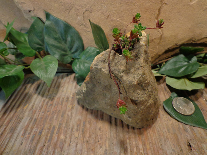 Small Natural Stone Planter Pot-7.jpg :: Small Natural Stone Planter Pot