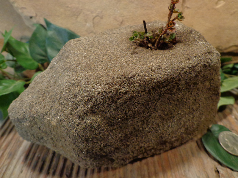 Small Natural Stone Planter Pot-9.jpg :: Small Natural Stone Planter Pot