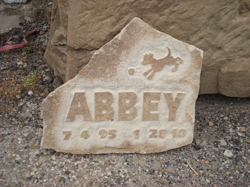 Special Order Stone Pet Memorial Example Abbey Puppy Chasing Ball with Date.jpg :: Special Order Stone Pet Memorial Example Abbey Puppy Chasing Ball with Date