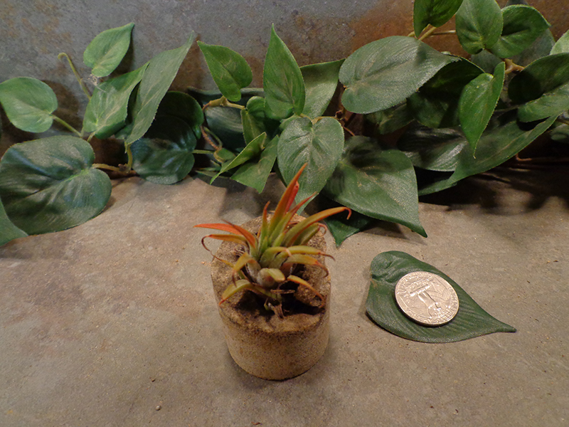 Tiny Cored Stone Planter Pot -11.jpg