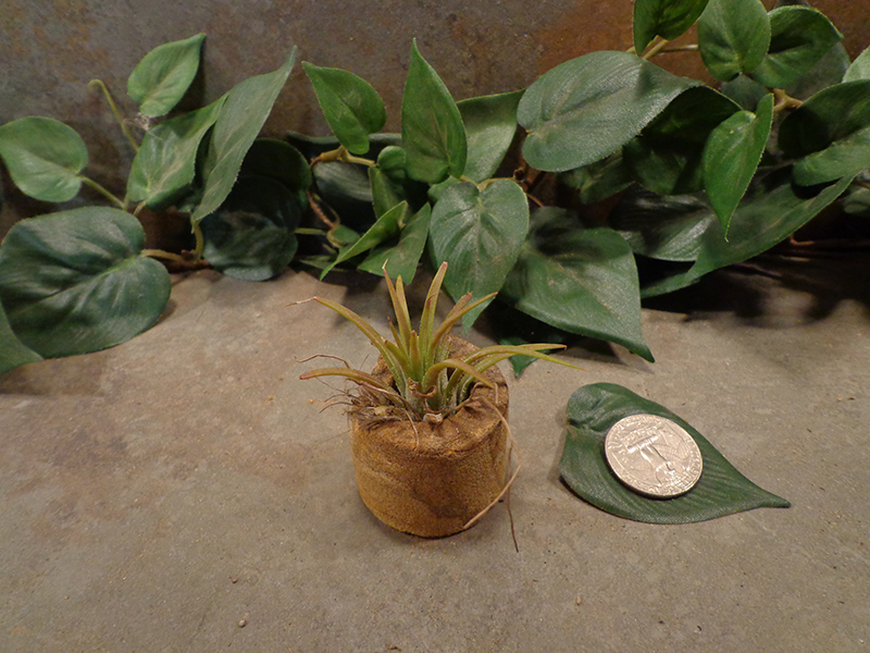 Tiny Cored Stone Planter Pot -12.jpg