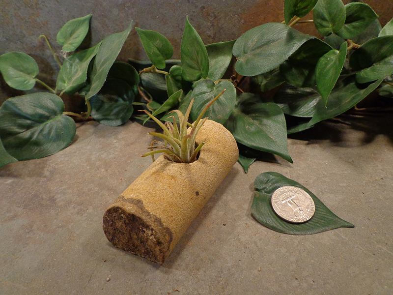 Tiny Cored Stone Planter Pot -14.jpg