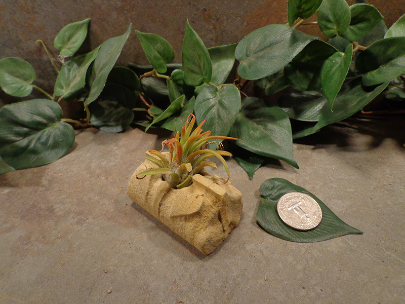 Tiny Cored Stone Planter Pot -161.jpg
