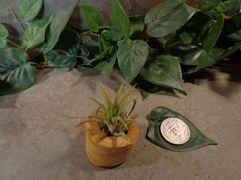 Tiny Cored Stone Planter Pot -2.jpg
