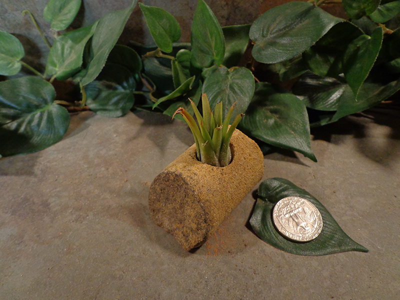 Tiny Cored Stone Planter Pot -41.jpg
