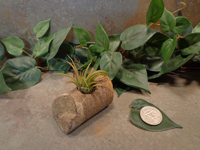 Tiny Cored Stone Planter Pot -6.jpg
