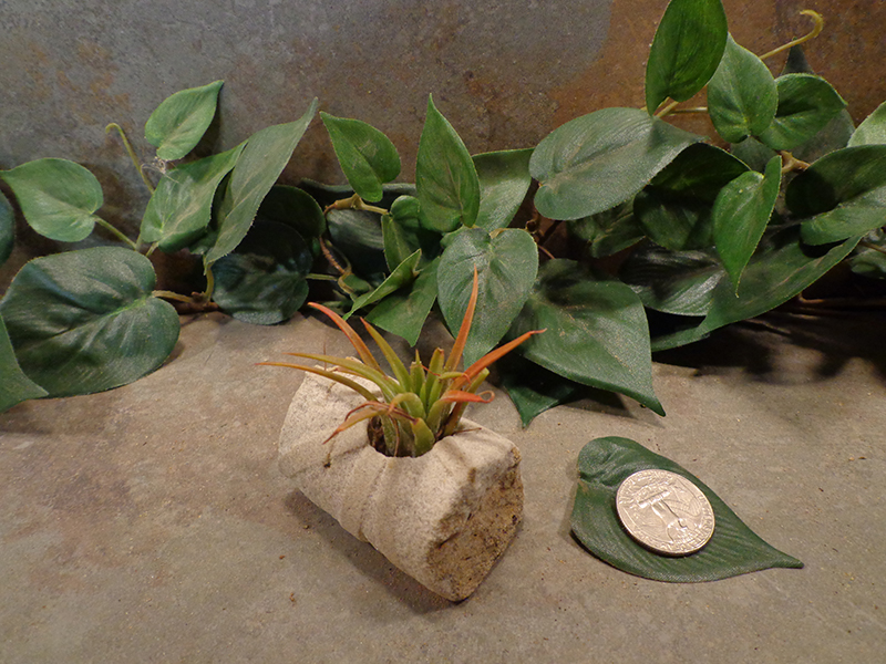 Tiny Cored Stone Planter Pot -7.jpg