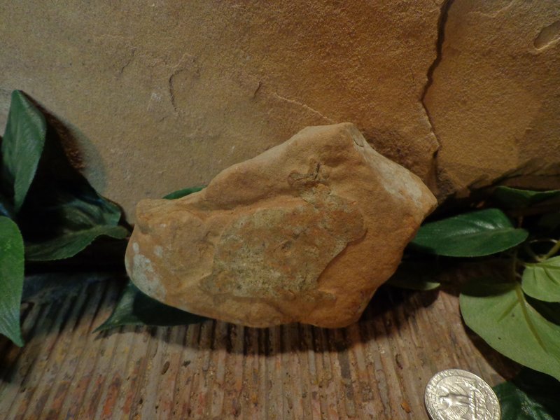 Tiny Etched Rabbit Stone Garden Art.jpg :: Tiny Etched Rabbit Stone Garden Art