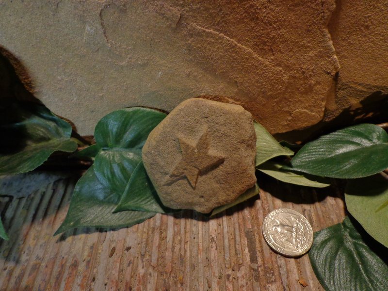 Tiny Etched Star Stone Garden Art.jpg :: Tiny Etched Star Stone Garden Art