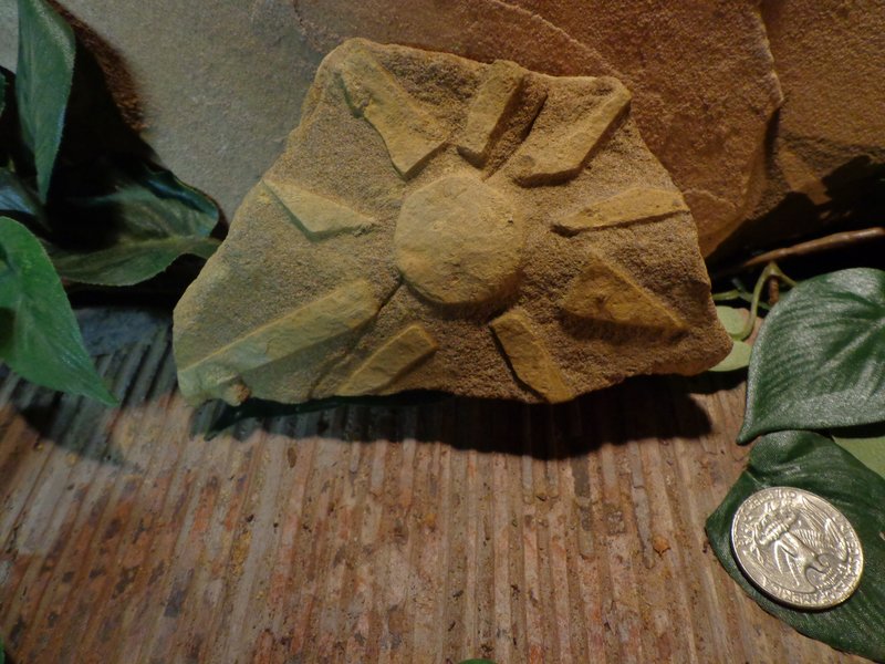 Tiny Etched Sun Stone Garden Art.jpg :: Tiny Etched Sun Stone Garden Art
