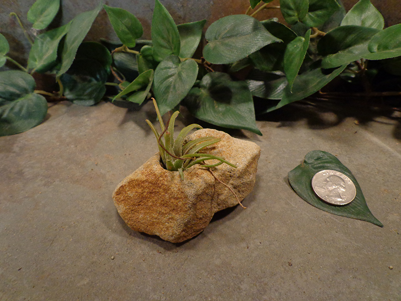 Tiny Natural Stone Planter Pot-2.jpg