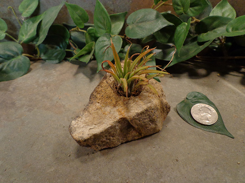 Tiny Natural Stone Planter Pot-4.jpg