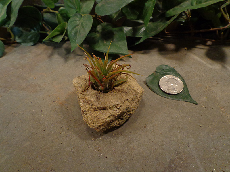 Tiny Natural Stone Planter Pot-7.jpg