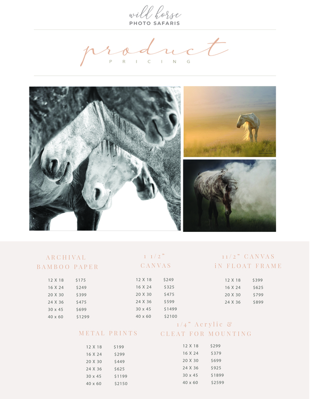 Print Pricing rate sheet 2022 - Copy.jpg :: DIGI021magazine12