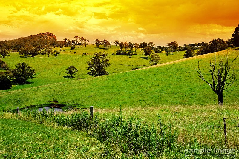 nature-bp-007.jpg :: rolling green hills