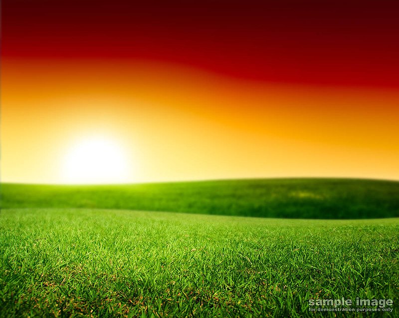 nature-bp-021.jpg :: brilliant sunset over lush fileds