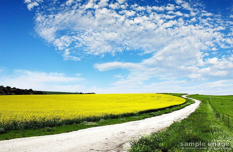 roads-bp-002.jpg