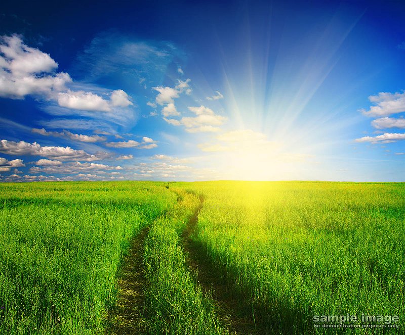 roads-bp-015.jpg