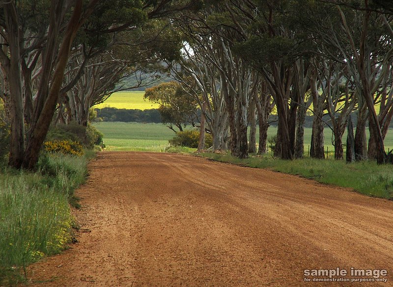 roads-bp-024.jpg
