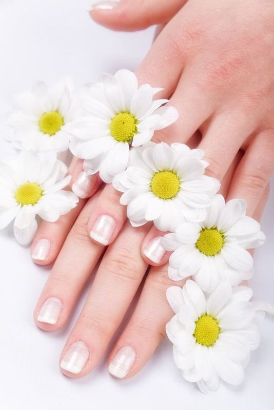 shutterstock_9829270.jpg