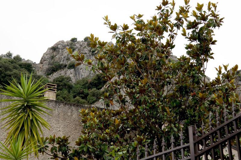 PERONE_Italy(11).jpg