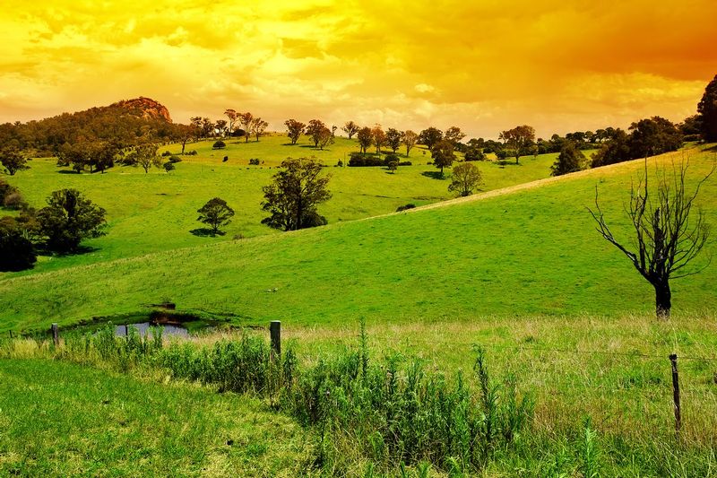 nature-bp-0071.jpg :: rolling green hills