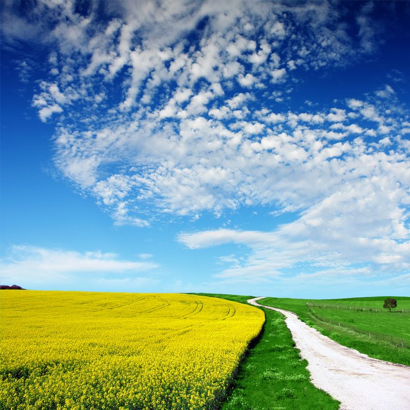 nature-bp-0101.jpg :: sunny sky over lush fields and road