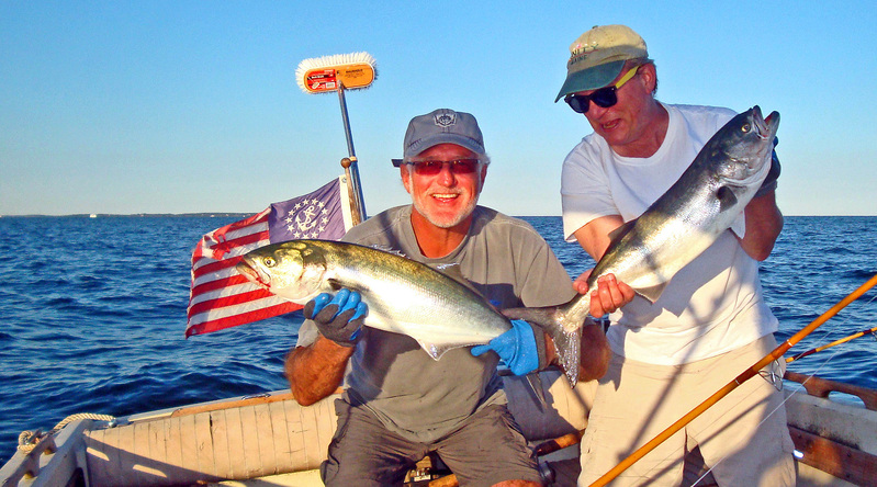 Annual_2014-005a.jpg