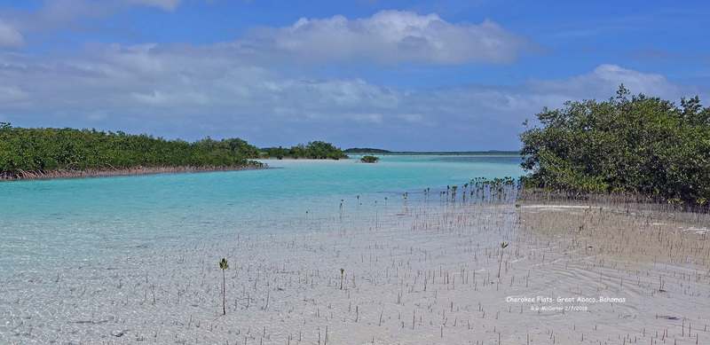 Bahamas_Abaco-5_edited.jpg