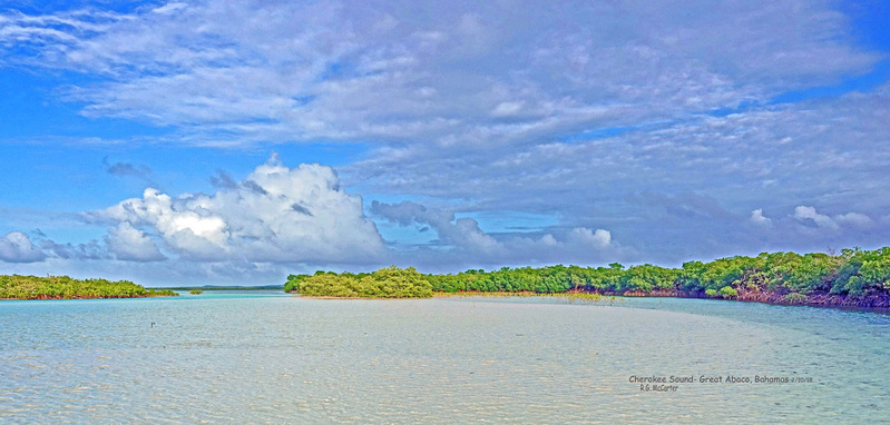 DSC00577b_edited-4a.jpg
