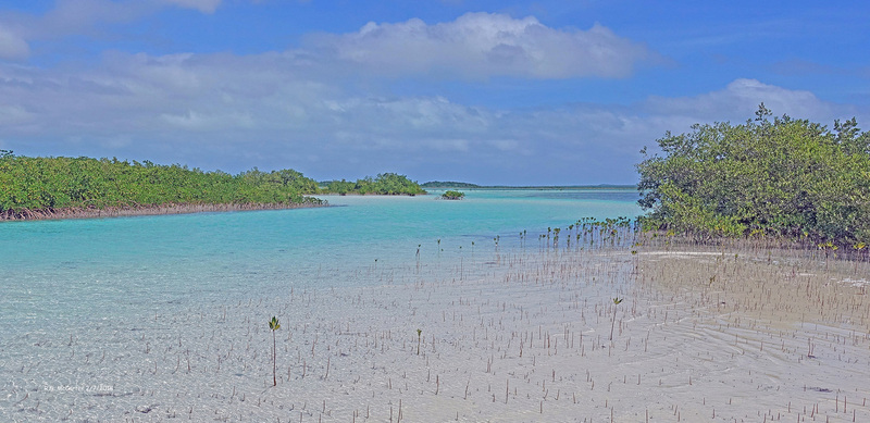 DSC00588_edited-5a.jpg