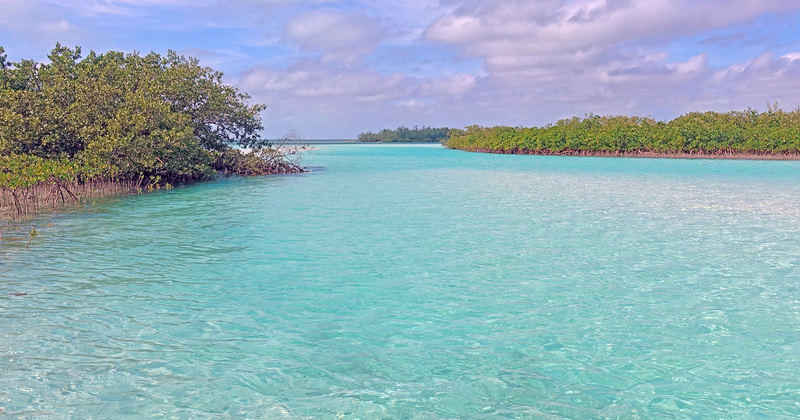 DSC00589_edited-4a.jpg