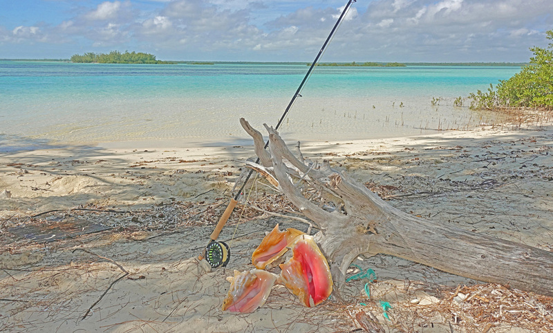 DSC00597_edited-5a.jpg