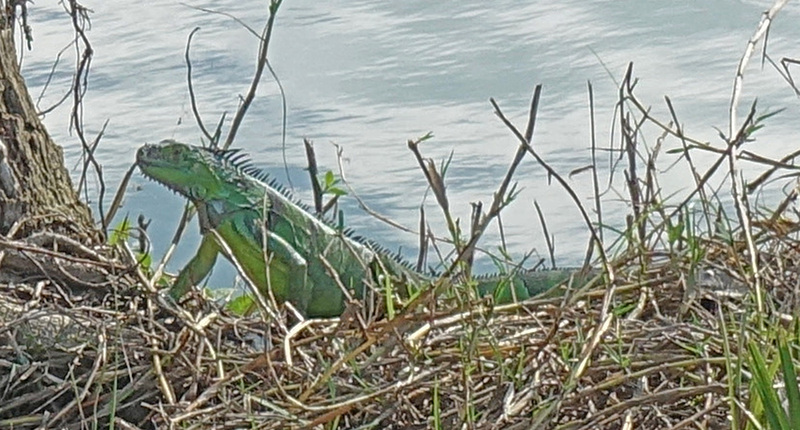 DSC05284_edited.jpg