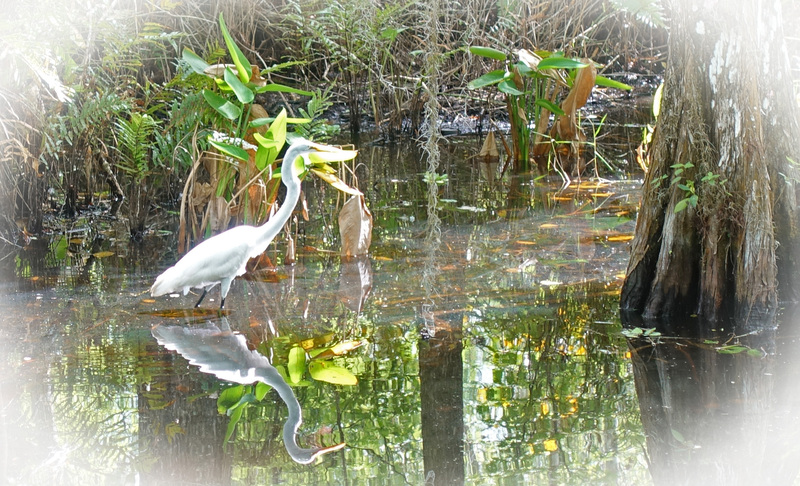 DSC05383_edited-2.jpg