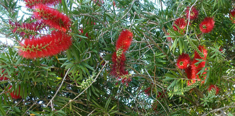 DSC05601_edited.jpg