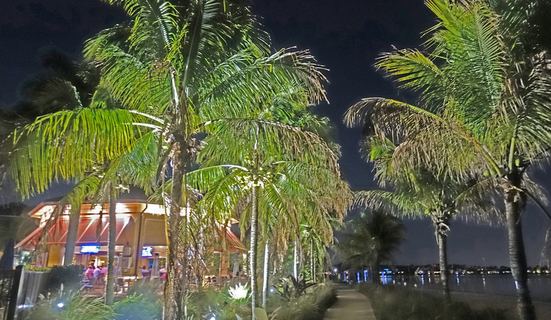 DSC05619_edited.jpg