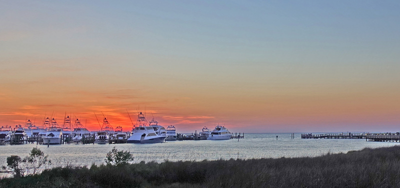 DSC05798_edited-3.jpg