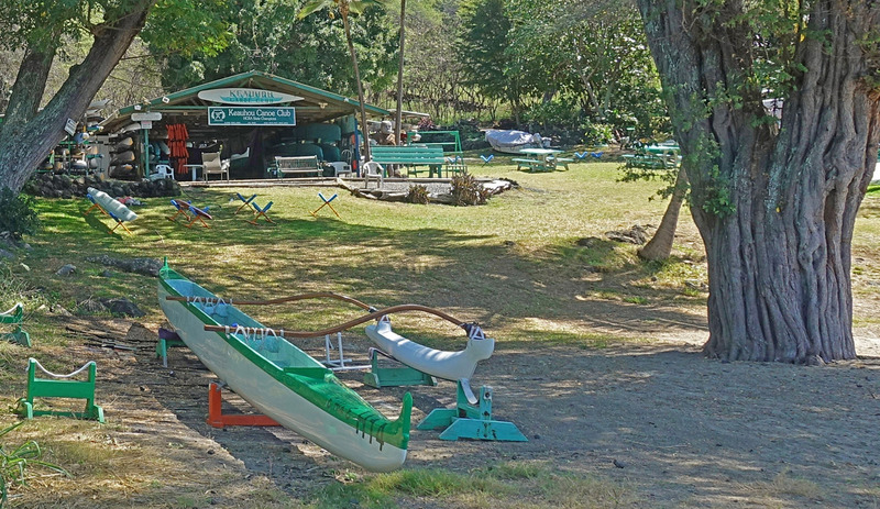 DSC06590_edited-4a.jpg