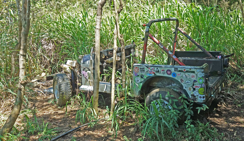 DSC06592b_edited-4.jpg