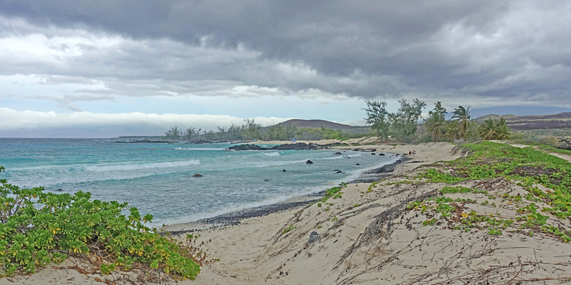 DSC06635_edited-4a.jpg