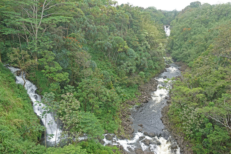 DSC06682_edited-4.jpg
