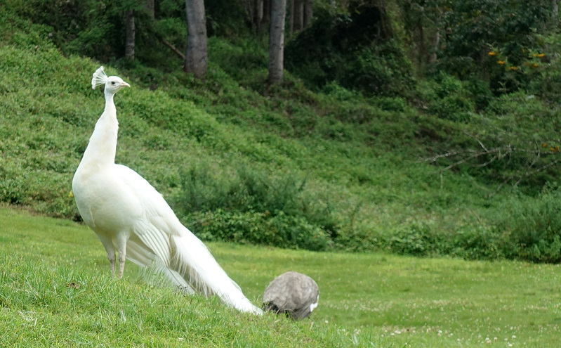 DSC06708_edited-4.jpg
