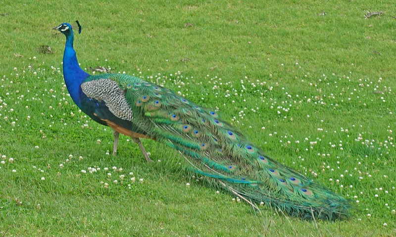 DSC06719_edited-4.jpg