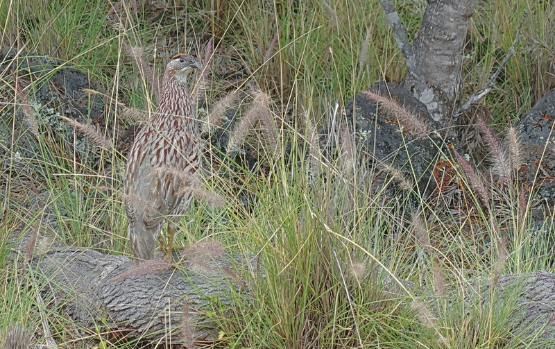 DSC06760_edited-4.jpg
