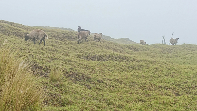 DSC06778_edited-4.jpg