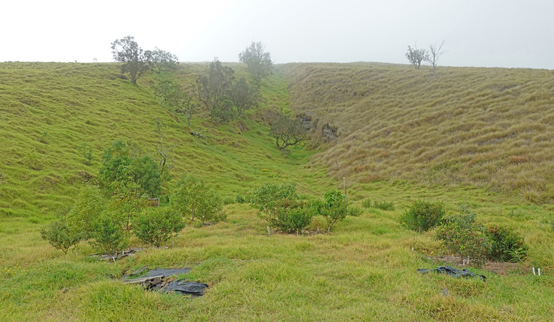 DSC06790_edited-4.jpg