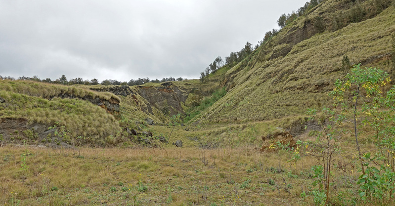 DSC06797_edited-4.jpg